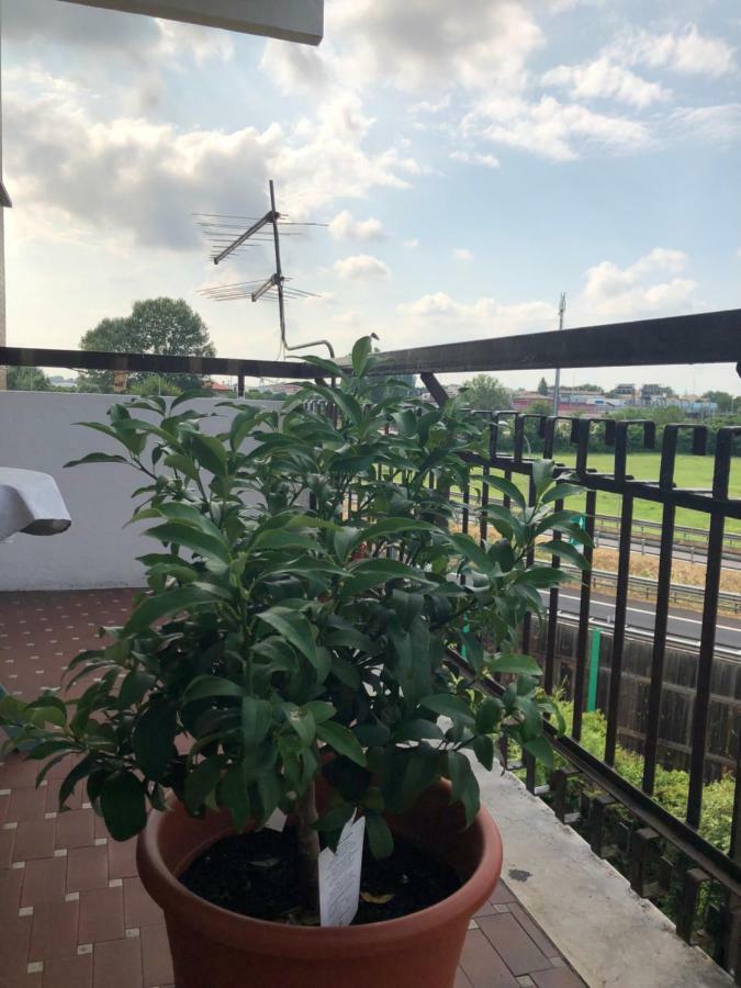Venice H.S.Garden 马格拉 外观 照片